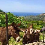 Apartmán Villa Pigna
