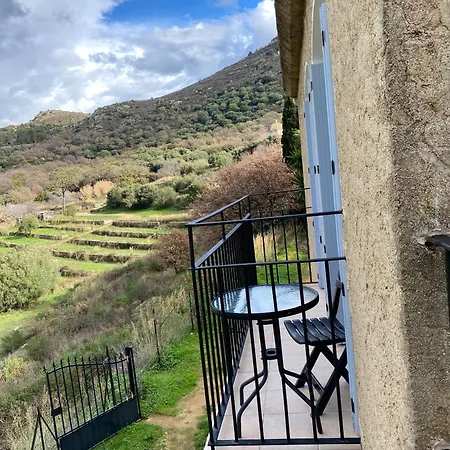 Villa Pigna Casa Martelli * Pigna