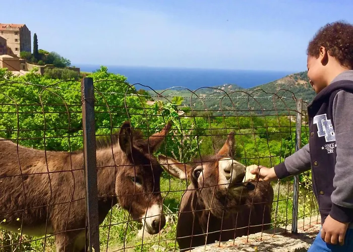 Apartamento Villa Pigna